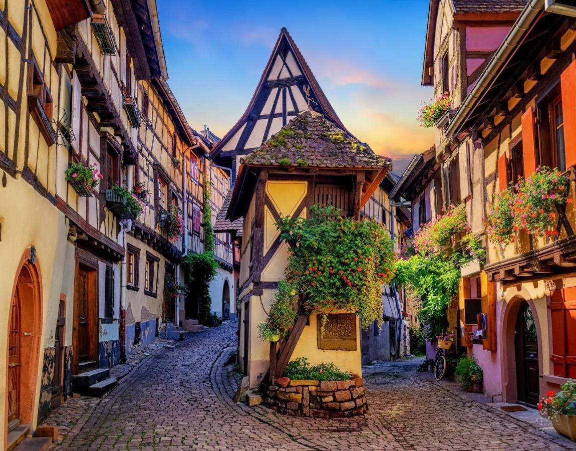 B&B Chez L'Habitant Chambre Privative Sur La Route Des Vins Tv Parking Box Velo Issenheim Bagian luar foto